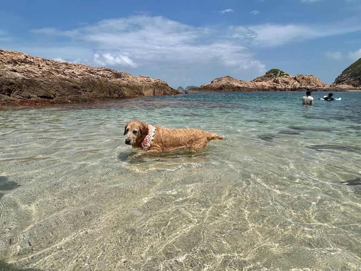 【 #狗狗旅行團 】 人狗9月20日(星期日) 隱世水清~香港馬爾代夫之稱「綠蛋島🏖️」玻璃水 +「獨木舟🛶體驗」+「布袋澳海鮮午餐」特選一天遊