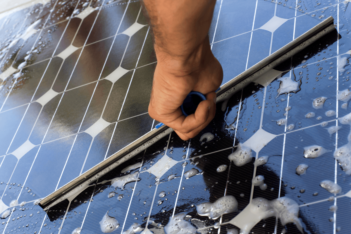 Mandurah Local Window cleaner washing internal sides of windows Mandurah Local Window cleaner washing internal sides of windows