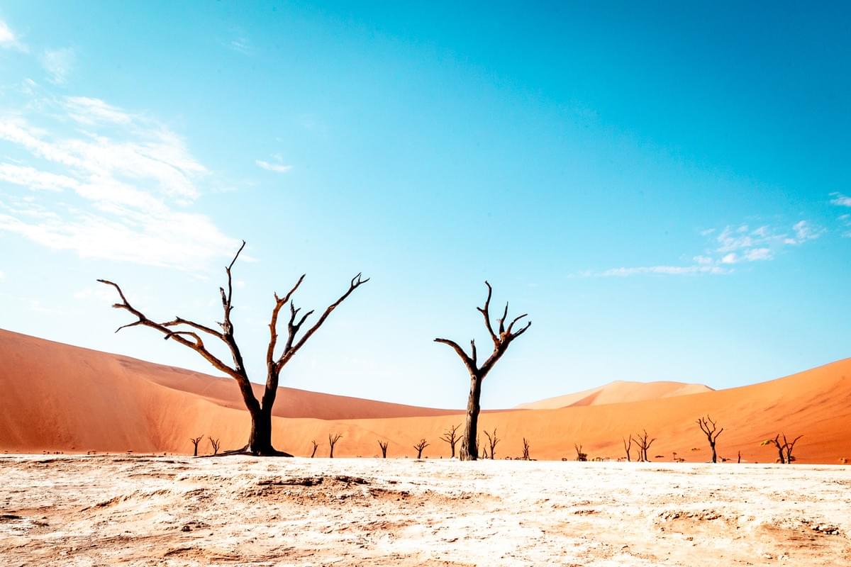 Choose from short-term or long-term rentals to suit your travel needs and budget. Flexible Rental Options What We Offer Business is a car rental company that offers 4x4 vehicles in Namibia Choose from short-term or long-term rentals to suit your travel needs and budget. Flexible Rental Options What We Offer Business is a car rental company that offers 4x4 vehicles in Namibia