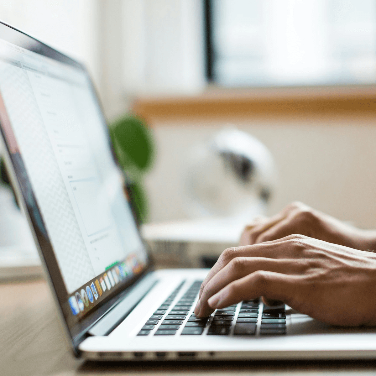 Our knowledgeable team is here to assist you with travel tips and support throughout your journey. Expert Local Support What We Offer Business is a car rental company that offers 4x4 vehicles in Namibia Our knowledgeable team is here to assist you with travel tips and support throughout your journey. Expert Local Support What We Offer Business is a car rental company that offers 4x4 vehicles in Namibia