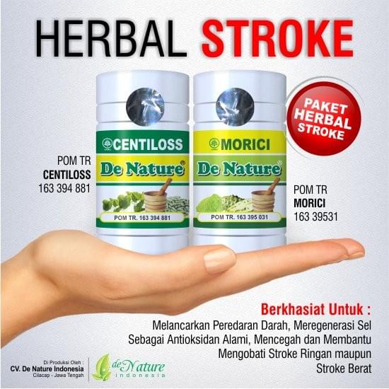 OBAT PENYAKIT STROKE OBAT PENYAKIT STROKE