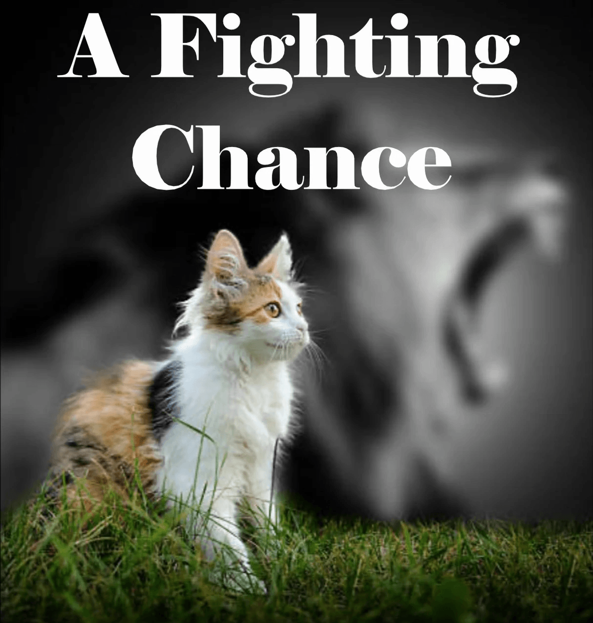 Discover valuable tips and resources for navigating the transition into military life, whether you're a new recruit or a spouse adjusting to a new lifestyle. Transitioning to Military Life What We Offer Pod Cast about Military life from start to the Journey. From the guy in and his wife as a military spouse. Discover valuable tips and resources for navigating the transition into military life, whether you're a new recruit or a spouse adjusting to a new lifestyle. Transitioning to Military Life What We Offer Pod Cast about Military life from start to the Journey. From the guy in and his wife as a military spouse.
