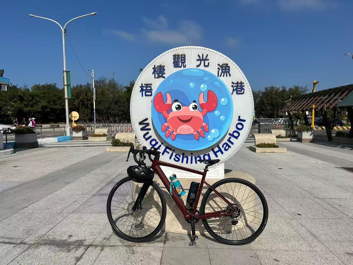 ePure Flex EU-Motor(Thru-axle)