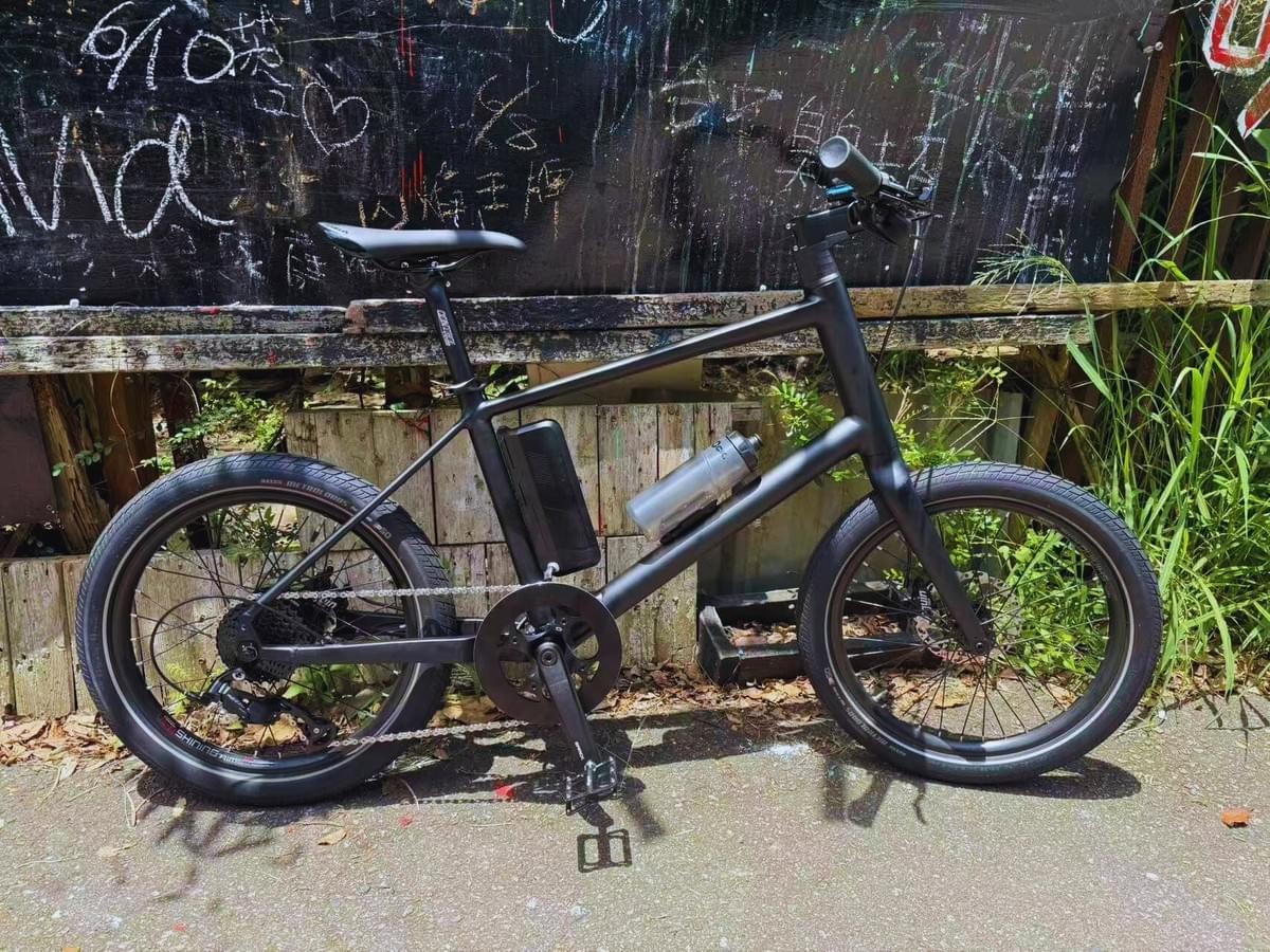 ePure Flex EU-Motor(Thru-axle)