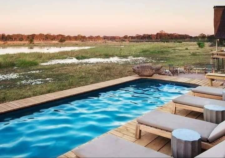 Luxury pool with an exquisite view of Botswana's scenic landscape, blending relaxation with stunning natural beauty. Luxury pool with an exquisite view of Botswana's scenic landscape, blending relaxation with stunning natural beauty.