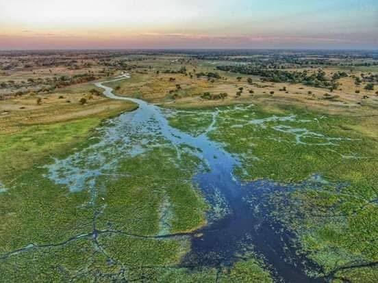 Aerial view of the Okavango Delta's winding channels, surrounded by lush vegetation. Aerial view of the Okavango Delta's winding channels, surrounded by lush vegetation.