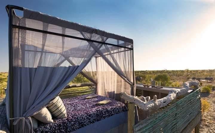 Luxury bed set up for outdoor sleeping in the bush, offering a unique safari experience under the stars. Luxury bed set up for outdoor sleeping in the bush, offering a unique safari experience under the stars.