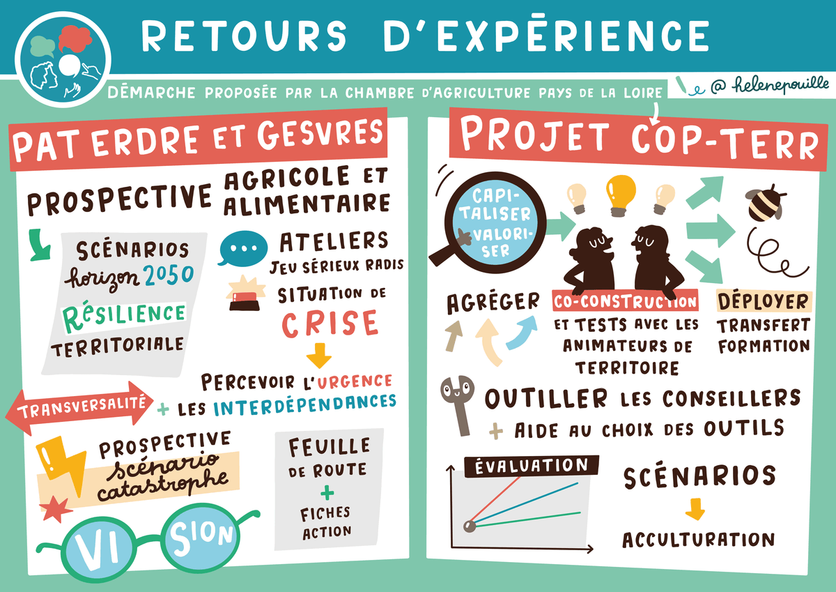 facilitation graphique, facilitation visuelle, sketchnotes, hélène pouille, écologie, agriculture, alimentation, transition facilitation graphique, facilitation visuelle, sketchnotes, hélène pouille, écologie, agriculture, alimentation, transition