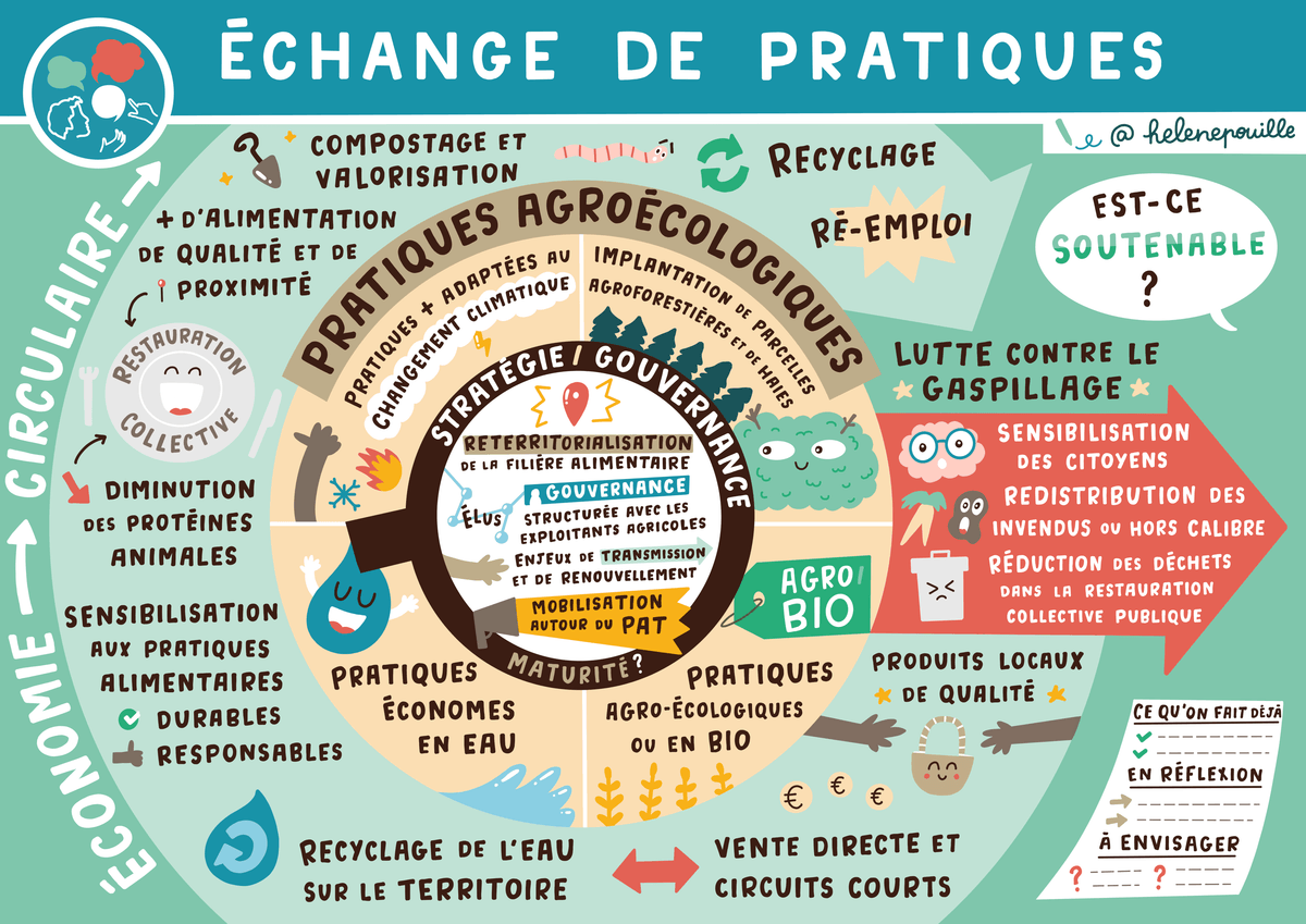 facilitation graphique, facilitation visuelle, sketchnotes, hélène pouille, écologie, agriculture, alimentation, transition facilitation graphique, facilitation visuelle, sketchnotes, hélène pouille, écologie, agriculture, alimentation, transition
