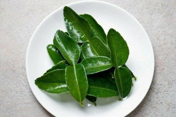 Manfaat Daun Jeruk Manfaat Daun Jeruk