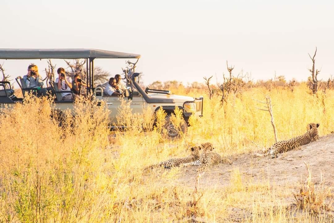 Benefit from our strong local presence and expert guides to ensure a seamless and authentic travel experience, making your visit to Livingstone truly unforgettable. Feature What We Do A.M Transfers and Tours in Livingstone, Zambia, offers an exceptional range of tailor-made tours and transport services, perfect for adventurous travelers seeking to explore Zambia’s natural beauty. From thrilling safari game drives and Victoria Falls tours to unique village experiences and fishing trips, they provide unforgettable memories for all types of visitors. With a strong local presence and expert guides, A.M Transfers and Tours ensures a seamless, authentic travel experience in the heart of Livingstone. Whether you're a first-time visitor or a seasoned traveler, their personalized services guarantee an adventure of a lifetime. Benefit from our strong local presence and expert guides to ensure a seamless and authentic travel experience, making your visit to Livingstone truly unforgettable. Feature What We Do A.M Transfers and Tours in Livingstone, Zambia, offers an exceptional range of tailor-made tours and transport services, perfect for adventurous travelers seeking to explore Zambia’s natural beauty. From thrilling safari game drives and Victoria Falls tours to unique village experiences and fishing trips, they provide unforgettable memories for all types of visitors. With a strong local presence and expert guides, A.M Transfers and Tours ensures a seamless, authentic travel experience in the heart of Livingstone. Whether you're a first-time visitor or a seasoned traveler, their personalized services guarantee an adventure of a lifetime.