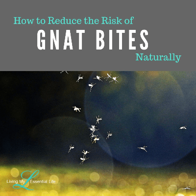 How to reduce the risk of gnat bites naturally with essential oils. How to reduce the risk of gnat bites naturally with essential oils.