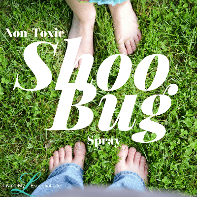 Here is a natural non-toxic bug spray with essential oils to shoo the bugs away. Here is a natural non-toxic bug spray with essential oils to shoo the bugs away.