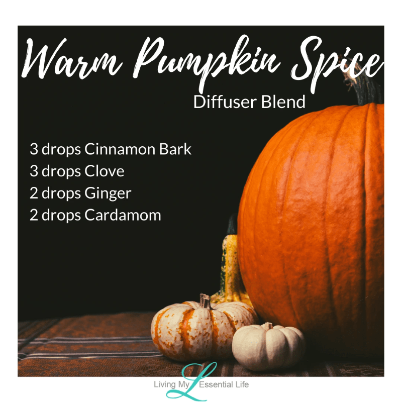 Top 12 Halloween Diffuser Blends - Warm Pumpkin Spice Top 12 Halloween Diffuser Blends - Warm Pumpkin Spice