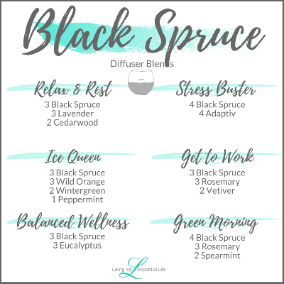 Essential oil diffuser blends with Black Spruce doterra Essential oil diffuser blends with Black Spruce doterra