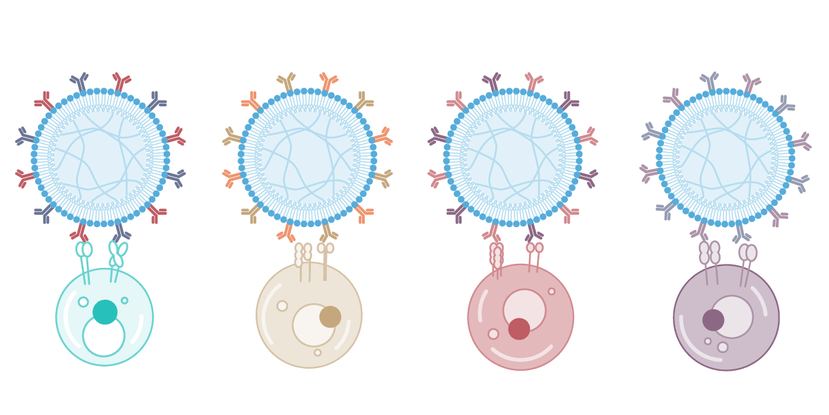 Our AimGel artificial cells, presents signals like natural antigen presenting cells (APCs). Our AimGel artificial cells, presents signals like natural antigen presenting cells (APCs).
