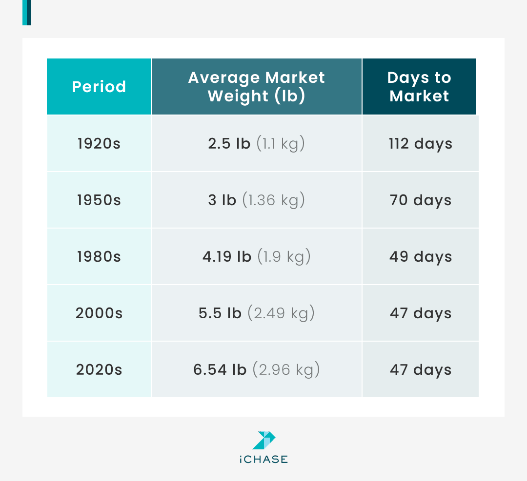 A table presents the information about the average market weight for broilers by different eras. A table presents the information about the average market weight for broilers by different eras.