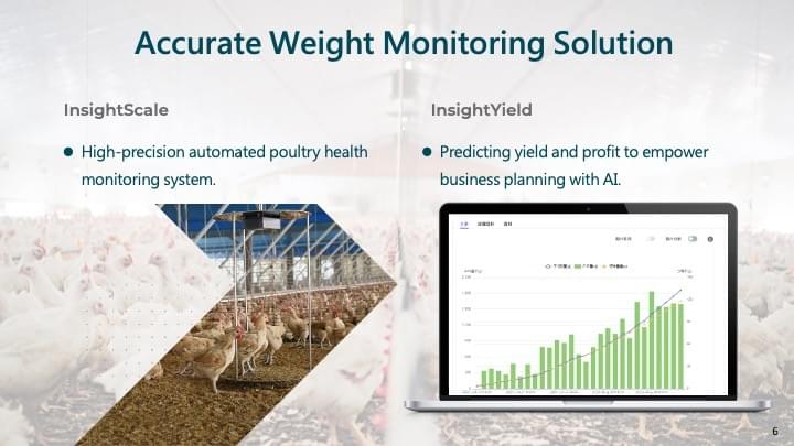 An infographic shows the capabilities of iCHASE’s smart scale for poultry. An infographic shows the capabilities of iCHASE’s smart scale for poultry.