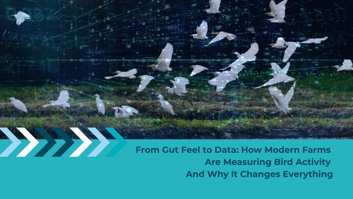 Bird Activity Monitoring on Farms: Why Data-Driven Bird Control Works Bird Activity Monitoring on Farms: Why Data-Driven Bird Control Works
