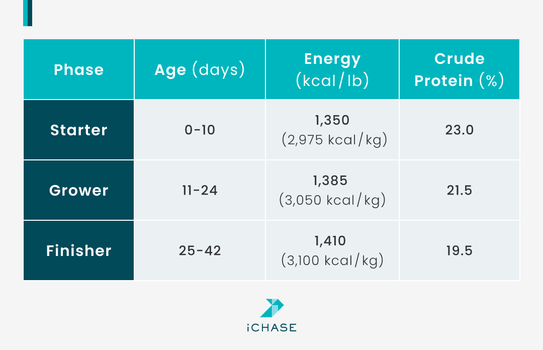 A table to recap the feeding schedule based on growth phase for broilers. A table to recap the feeding schedule based on growth phase for broilers.