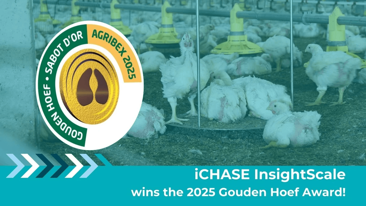 iCHASE were honored to be awarded as the Gouden Hoef Award in Belgium. iCHASE were honored to be awarded as the Gouden Hoef Award in Belgium.