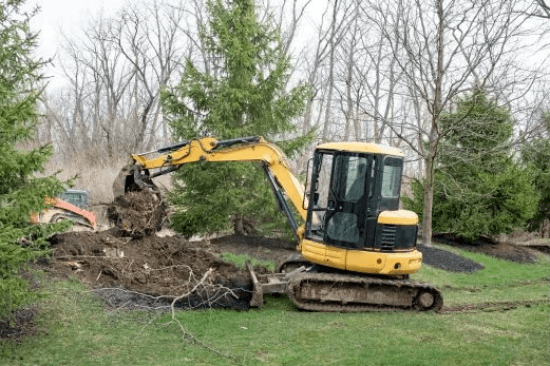 Commercial Tree Services Commercial Tree Services