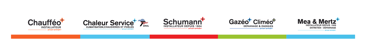 Entités du groupe Synergie Plus Entités du groupe Synergie Plus