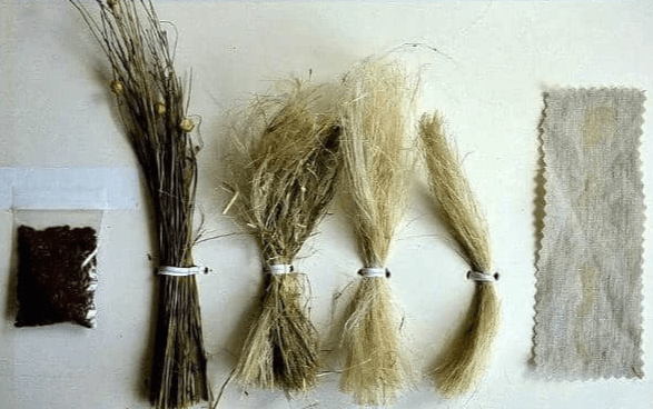 From Flax to Linen. (Everything you need to know about fabrics & fabric types: Sewing 101) From Flax to Linen. (Everything you need to know about fabrics & fabric types: Sewing 101)