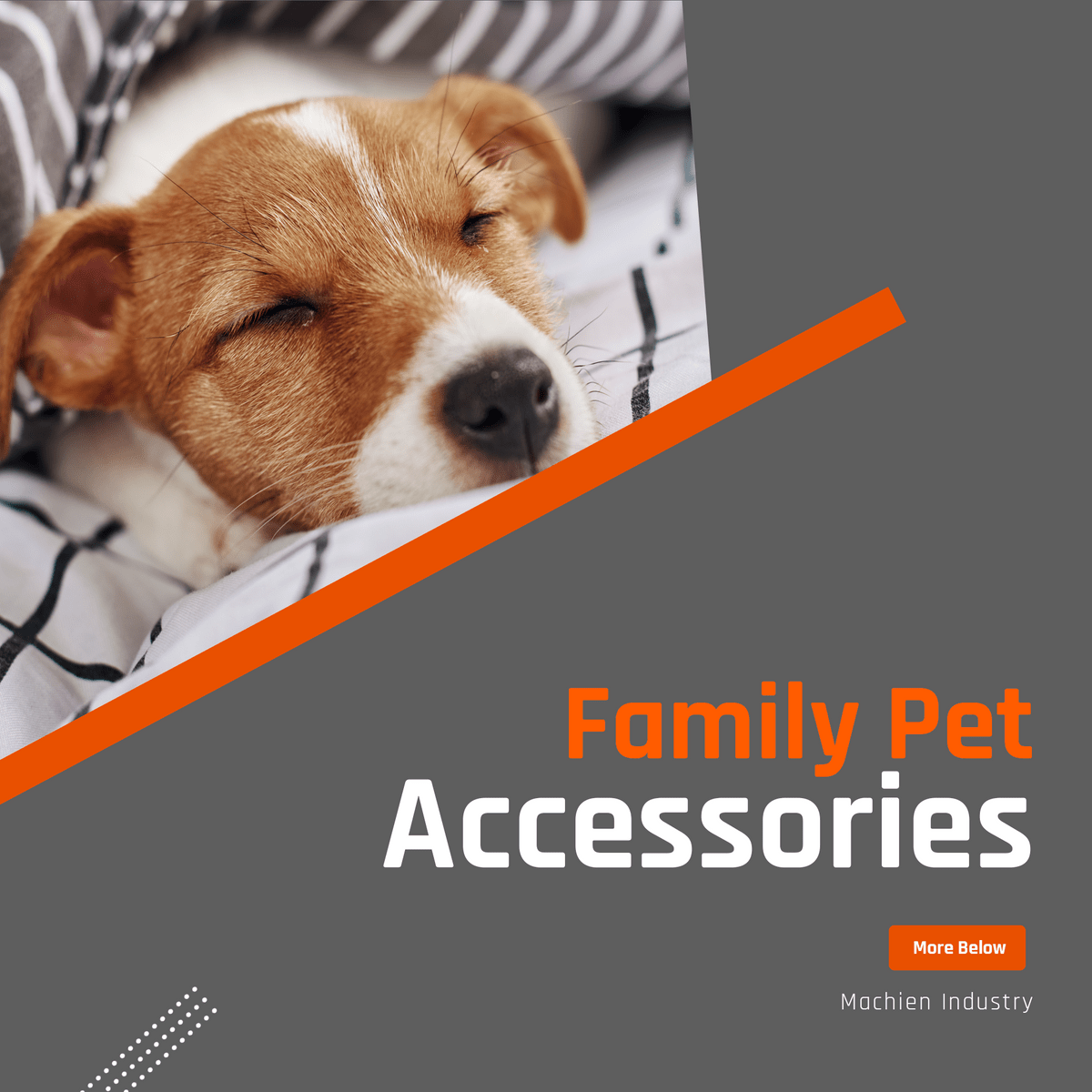 Family Pet Accessories | Product Solutions | Machien Industry Family Pet Accessories | Product Solutions | Machien Industry