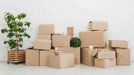 cohabitation intergénérationnelle colocation logement étudiant rentrée universitaire colibree intergénération cohabitation intergénérationnelle colocation logement étudiant rentrée universitaire colibree intergénération