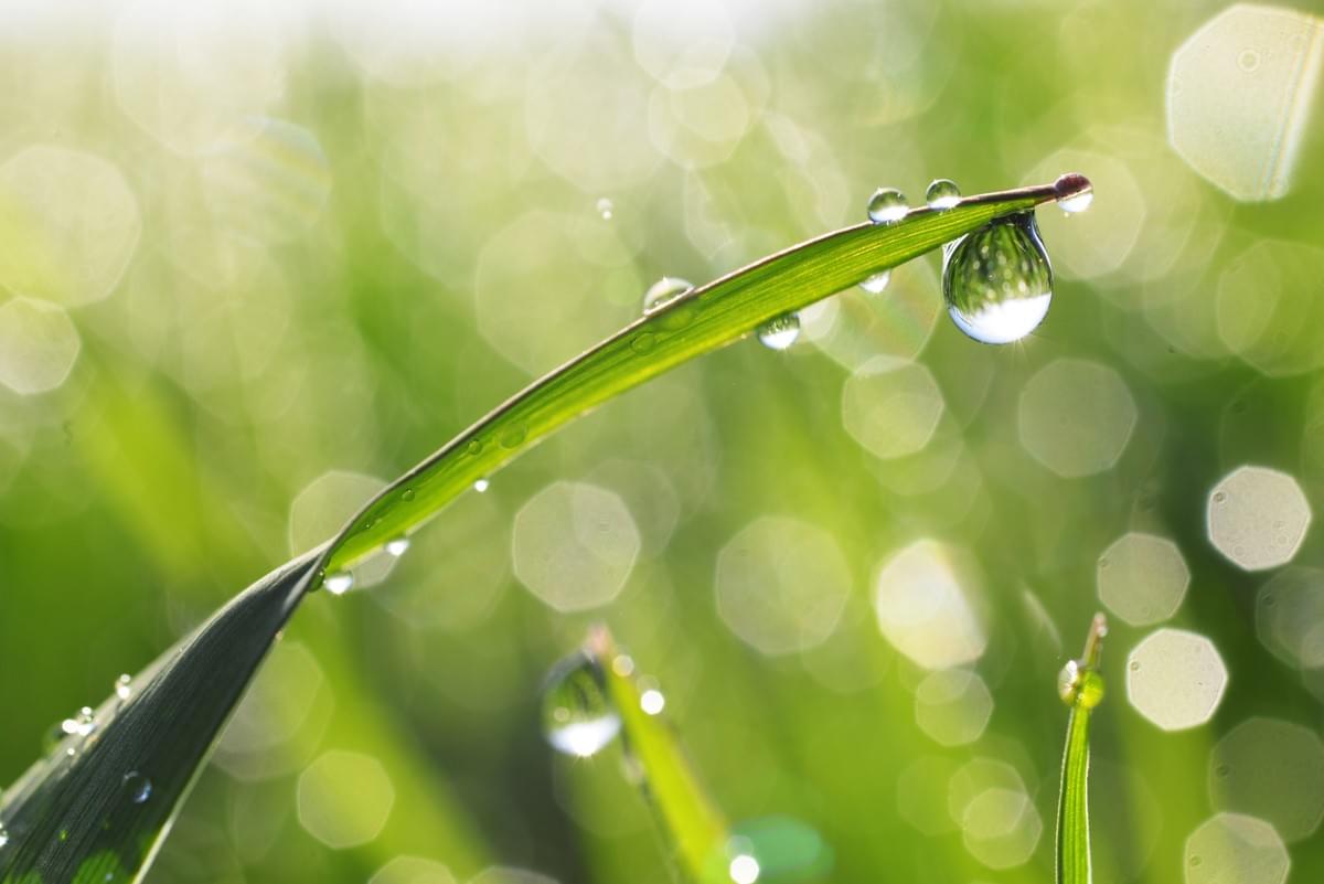 Reiki Master Healer in Dunedin, New Zealand & Online Reiki Master Healer in Dunedin, New Zealand & Online