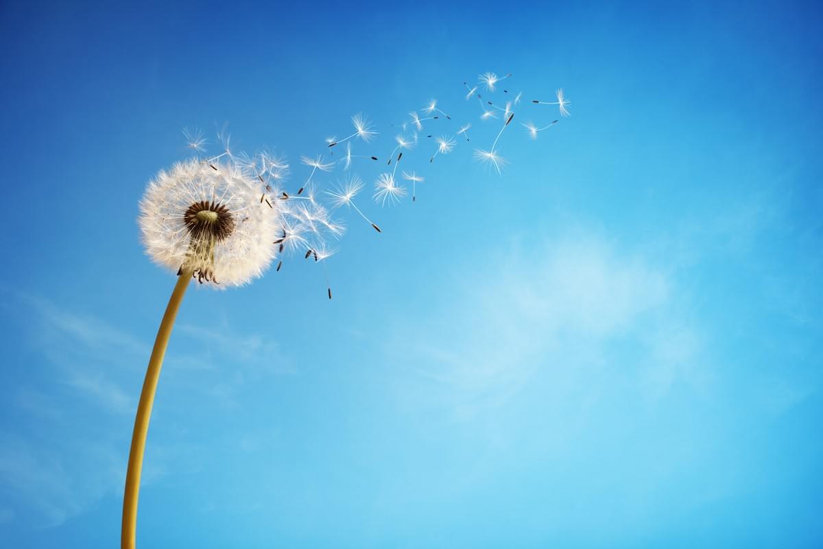 Evidential Mediumship Reading Evidential Mediumship Reading