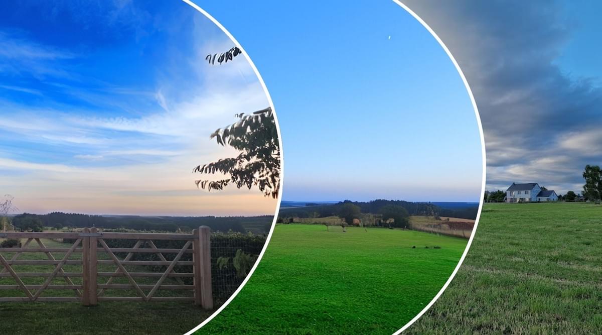 comment trouver un bon élevage de chiots. éducation canine Houffalize comment trouver un bon élevage de chiots. éducation canine Houffalize