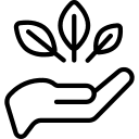 Our selection of frozen fruits is sourced from the finest growers. We ensure that our fruits retain their freshness, flavor, and nutritional value through our advanced freezing techniques. Experience the taste of nature in every bite, perfect for smoothies, desserts, and culinary creations. High-Quality Frozen Fruits What We Offer frozen fruit wholesale and other customization service