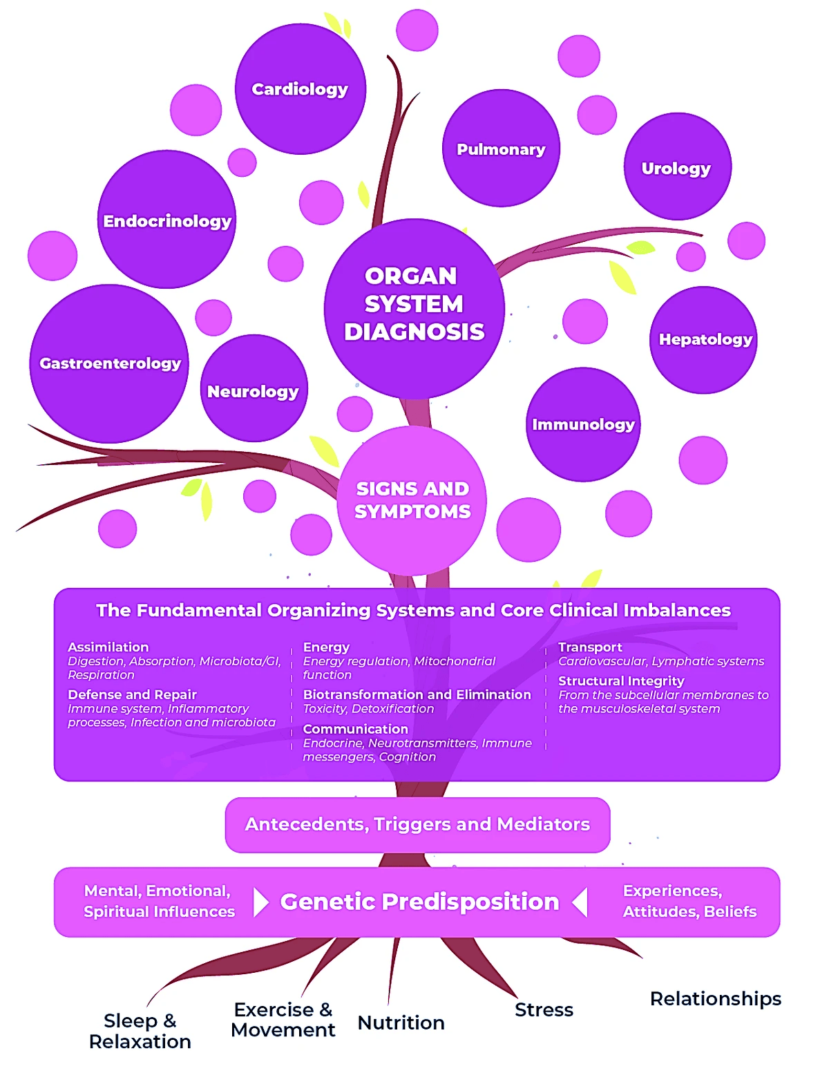 Explore Personalized Care at PHW Specialty Clinic Reclaim Your Health Today PHW Specialty Clinic is a boutique, concierge-style integrative medicine practice in Tysons, Virginia specializing in root-cause diagnostics, personalized treatment plans, and premium high-access care. We help busy professionals and individuals with chronic, complex, or hormone-related conditions reclaim their energy, vitality, and long-term health through a tailored, highly attentive medical experience. Explore Personalized Care at PHW Specialty Clinic Reclaim Your Health Today PHW Specialty Clinic is a boutique, concierge-style integrative medicine practice in Tysons, Virginia specializing in root-cause diagnostics, personalized treatment plans, and premium high-access care. We help busy professionals and individuals with chronic, complex, or hormone-related conditions reclaim their energy, vitality, and long-term health through a tailored, highly attentive medical experience.