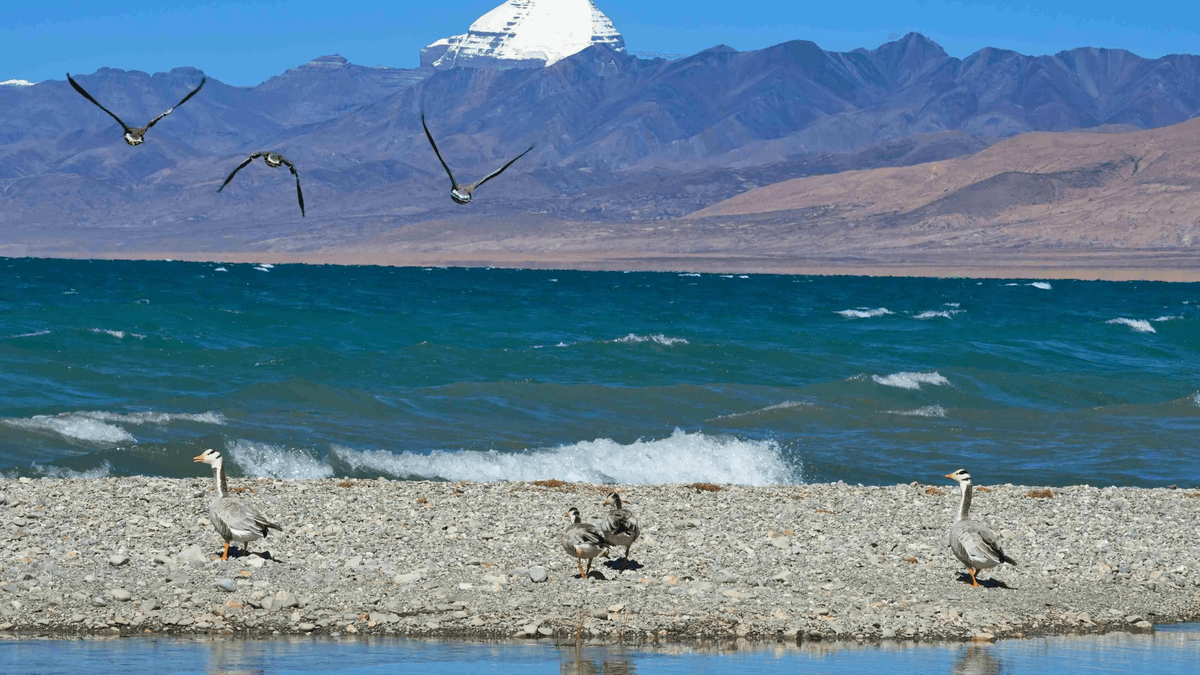 Guidetibet is a local travel agency offering authentic Tibet tours since 2004. Guidetibet is a local travel agency offering authentic Tibet tours since 2004.