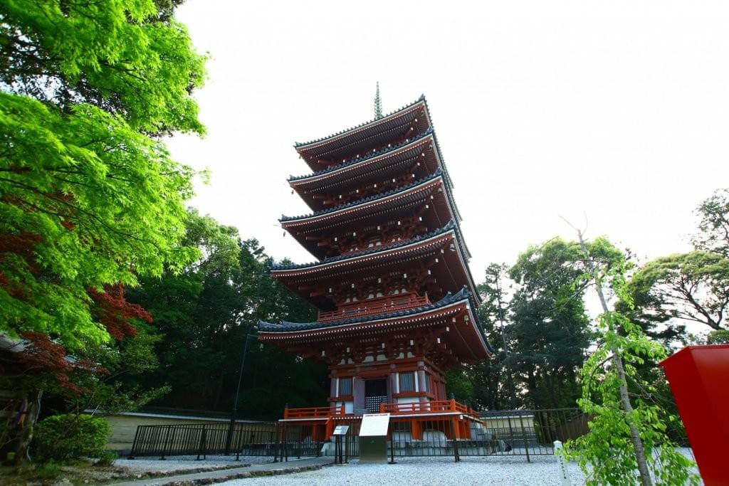 Section image