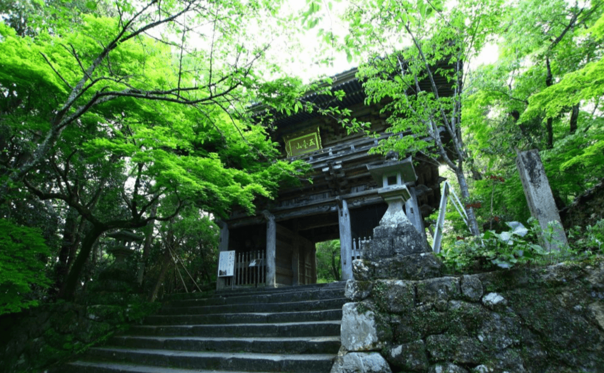 Section image