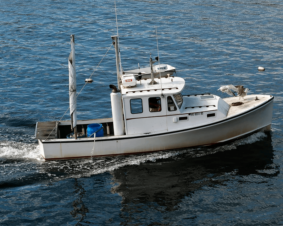 Weisidun Yacht designs and builds premium aluminum fishing, work, patrol, utility, and passenger boats. Weisidun Yacht designs and builds premium aluminum fishing, work, patrol, utility, and passenger boats.