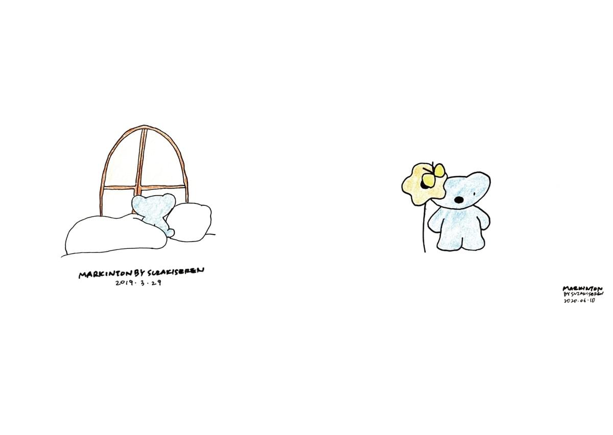 broken image