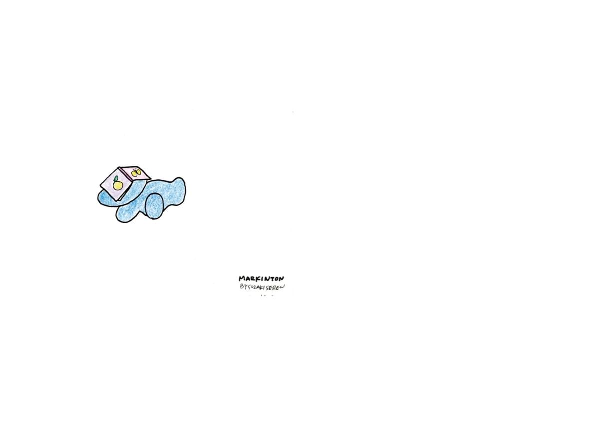 broken image
