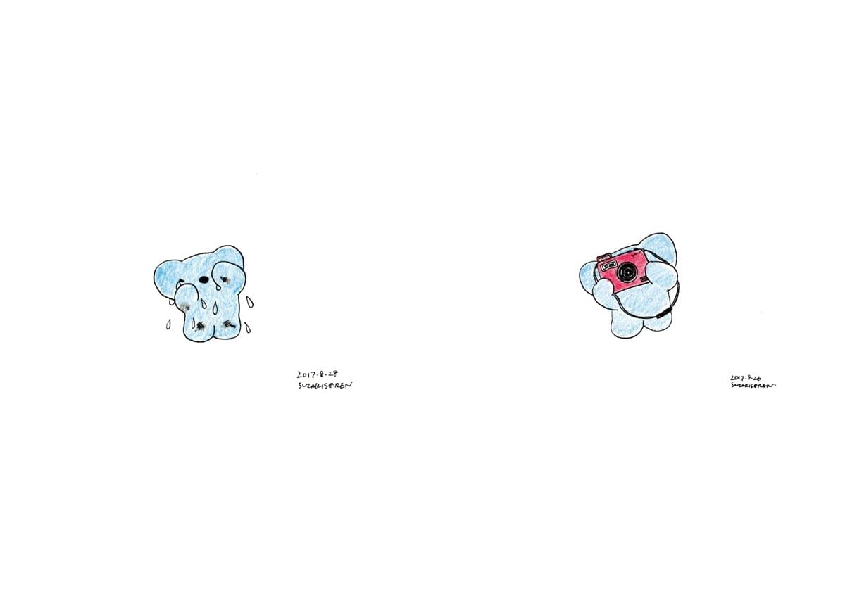 broken image