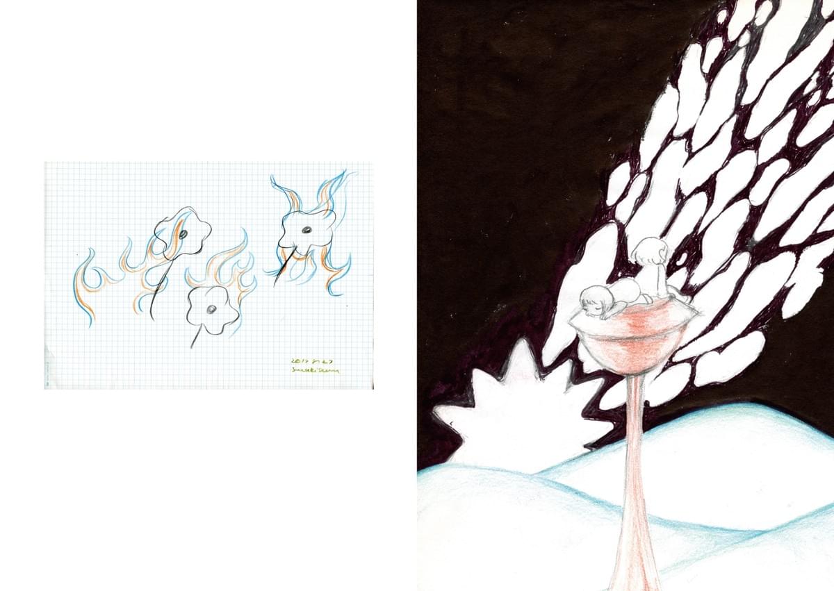 broken image