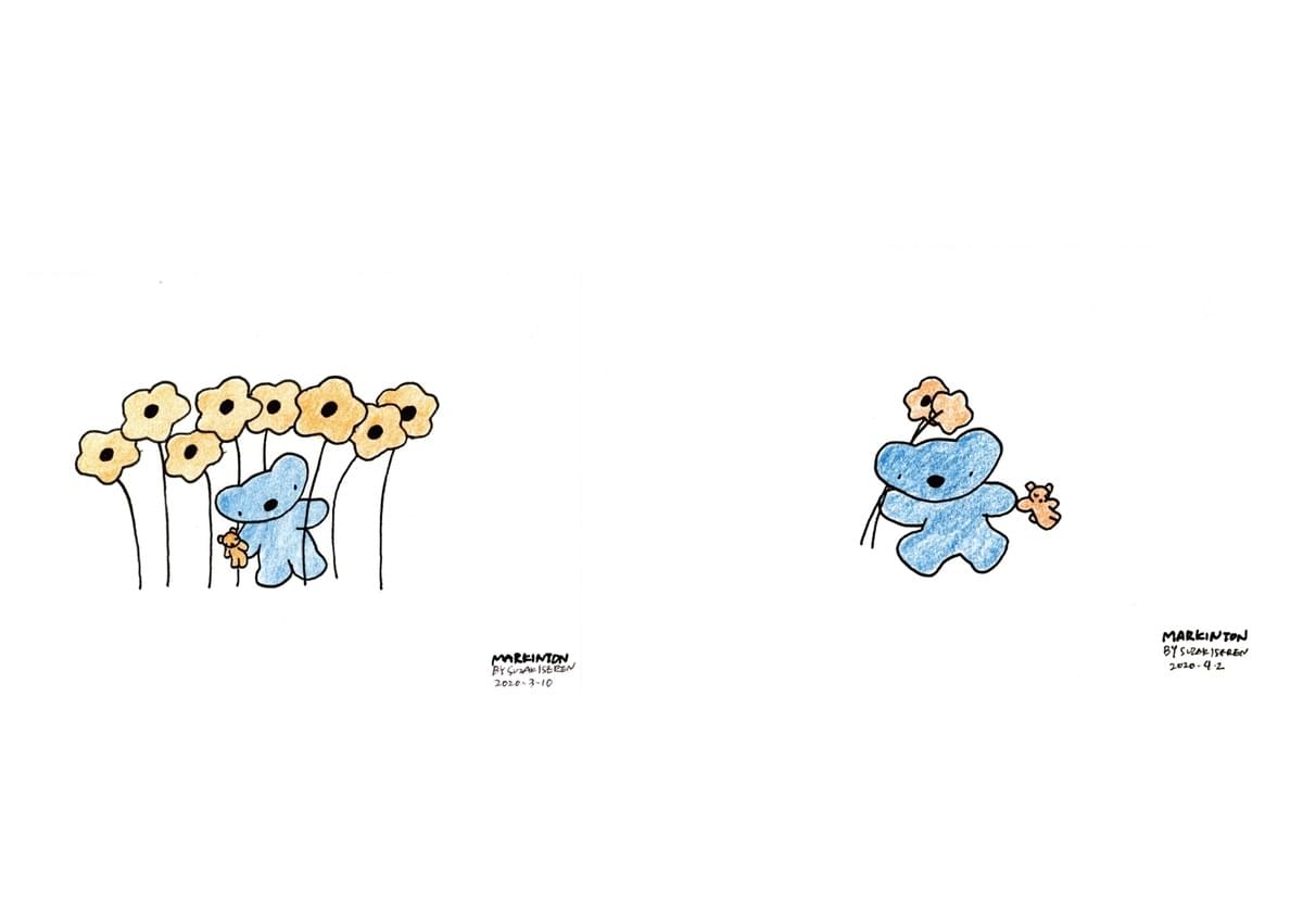 broken image
