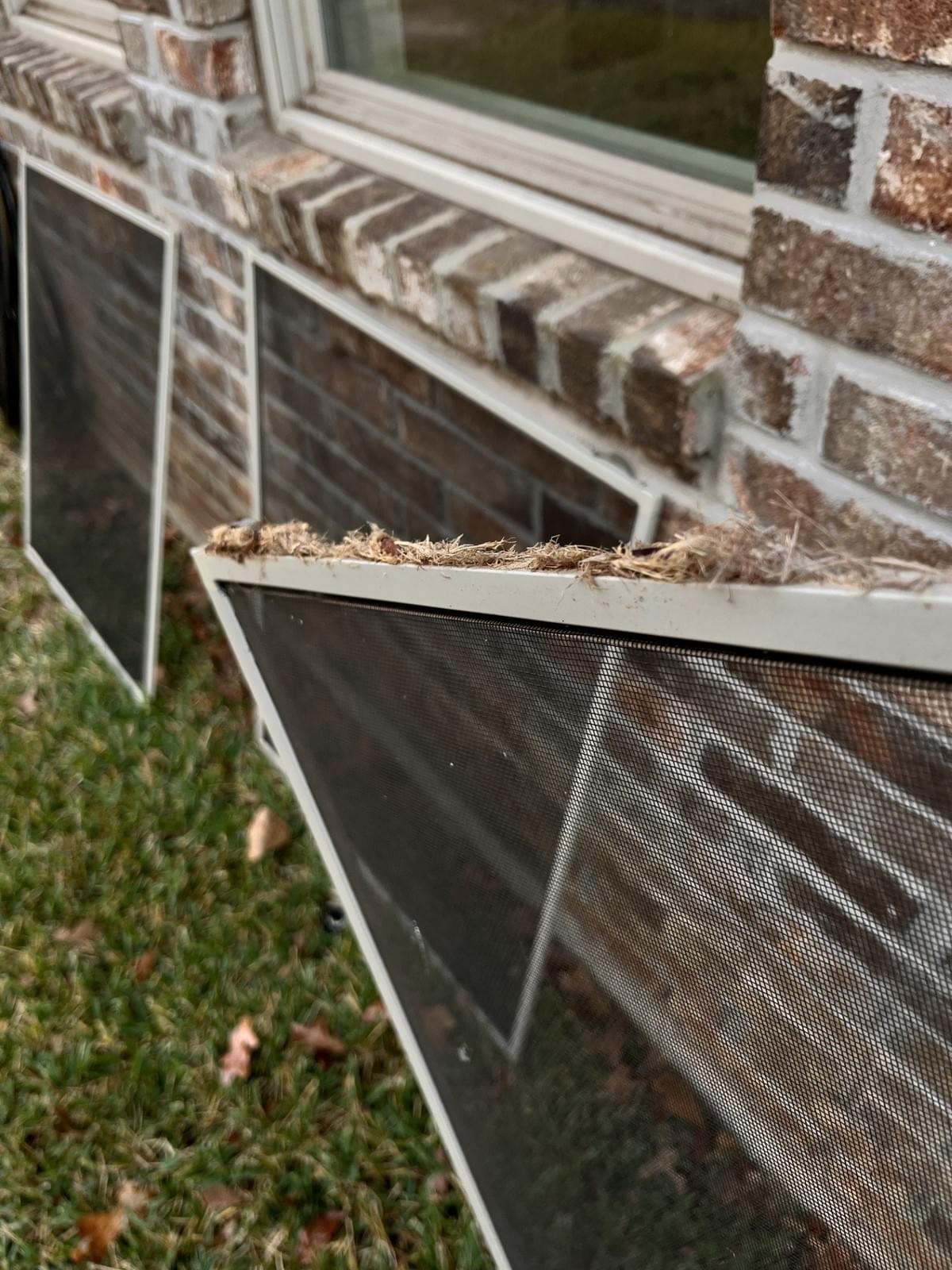 Window track detailing Cleburne TX Window track detailing Cleburne TX
