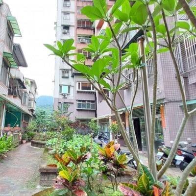 美墅家-實價登錄、成交行情-新店安坑-新店區安康路三段561巷,總樓高10樓,共51戶-新店房仲推薦-新店中古屋 美墅家-實價登錄、成交行情-新店安坑-新店區安康路三段561巷,總樓高10樓,共51戶-新店房仲推薦-新店中古屋