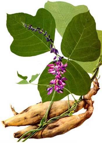 Section image