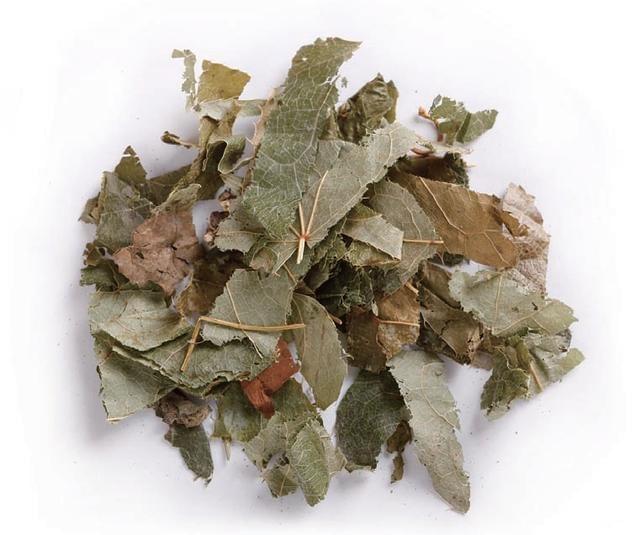 Section image