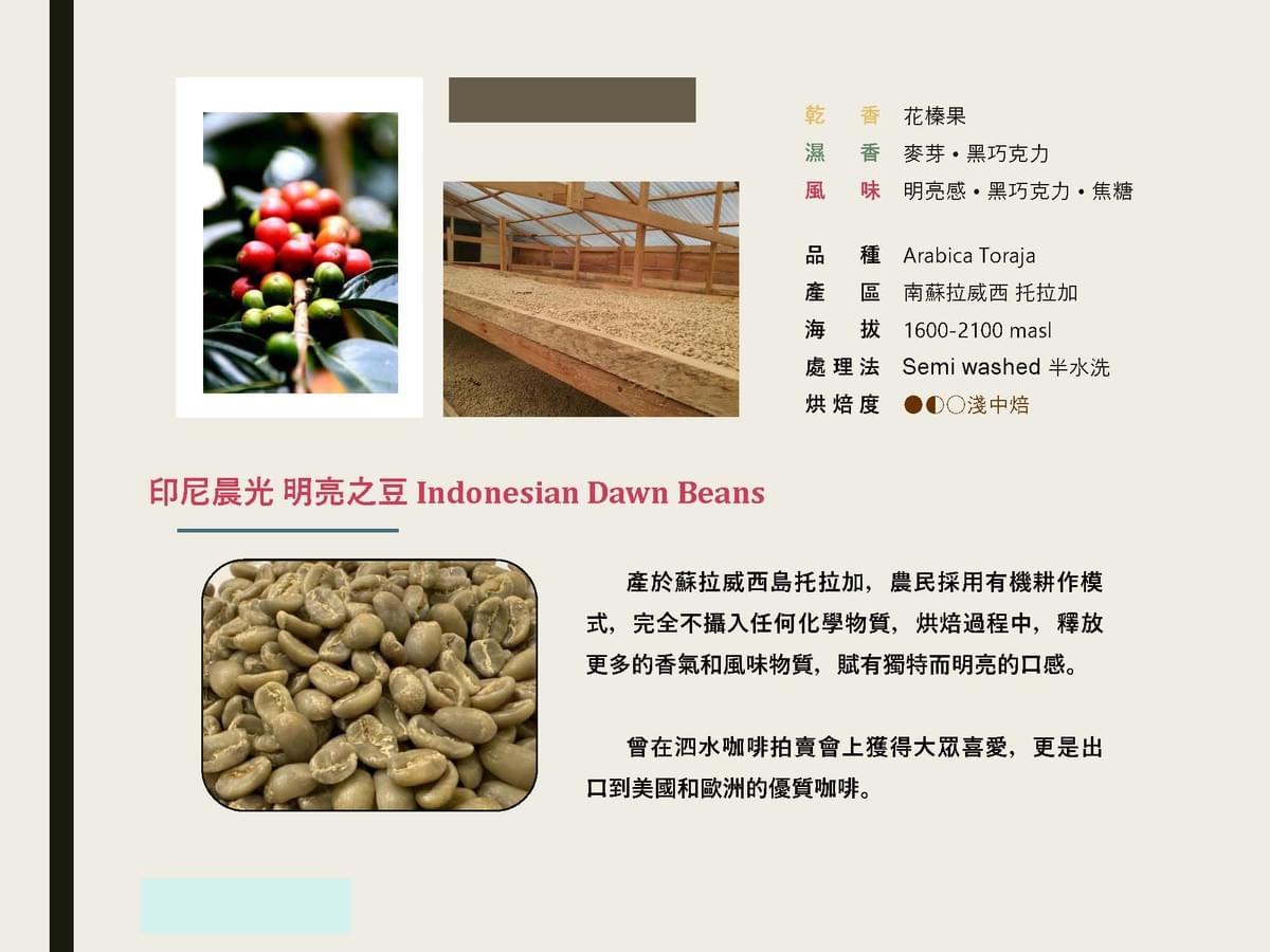 印尼晨光 明亮之豆 Indonesian Dawn Beans