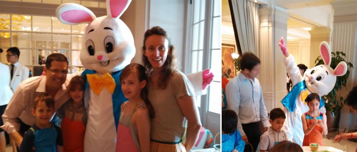 Bunny Mascot Bunny Mascot